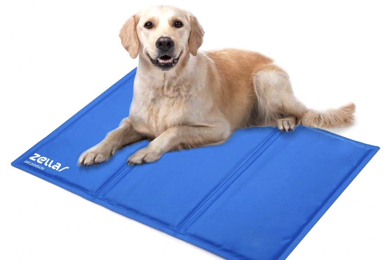 dog-cooling-mat-regulates-your-dogs-temperature-in-the-hot-weather